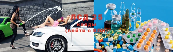 индика Алексеевка